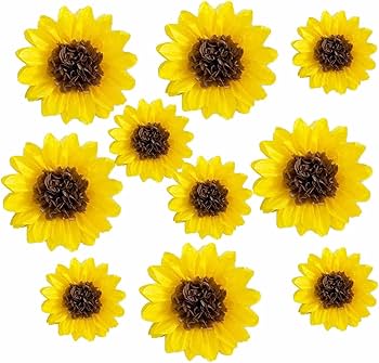 ✿ひまわりページ✿ Amazon.co.jp: iwlorys ひまわり テーマ ペーパー フラワー セット 10